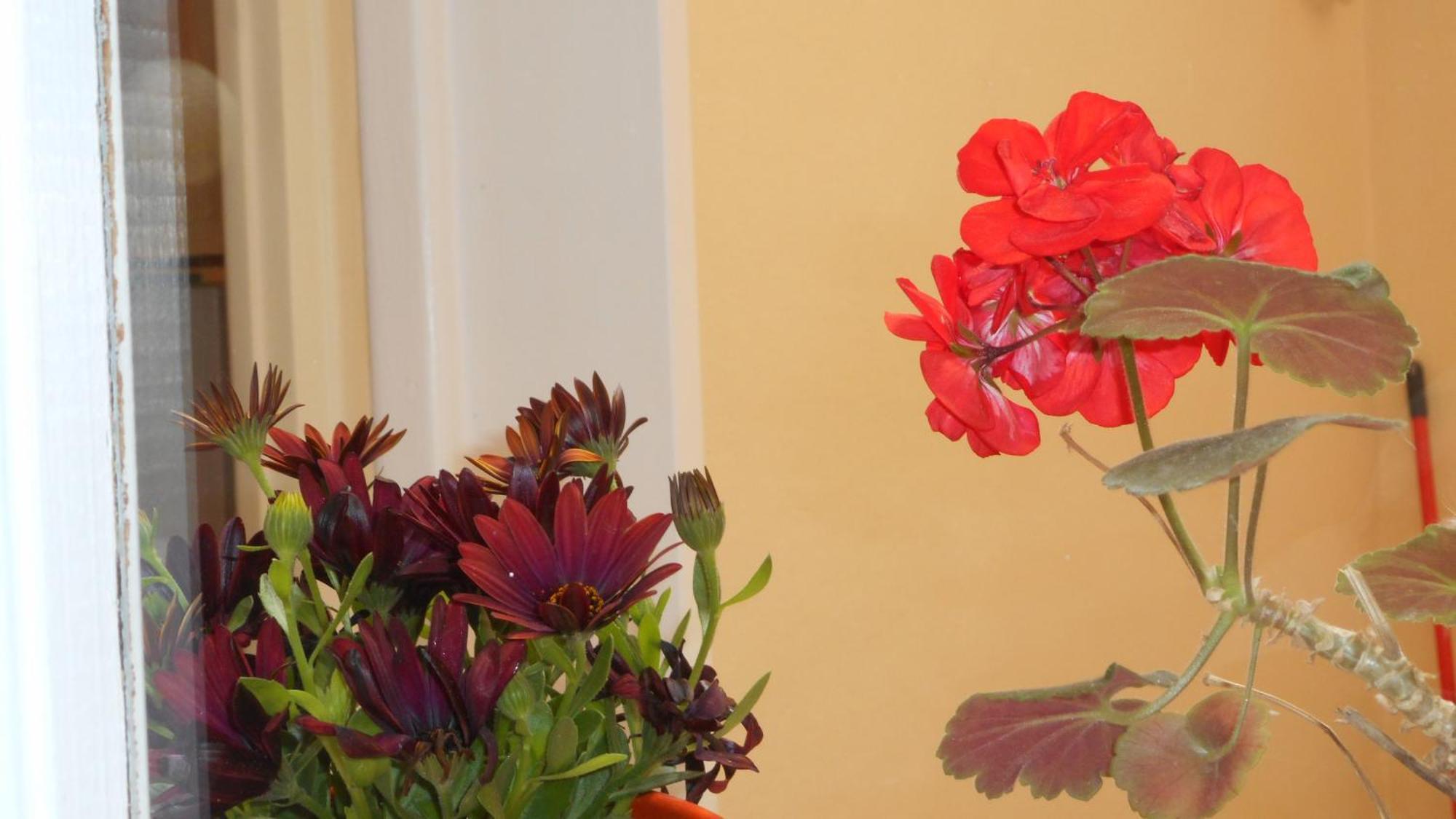 Elegant And Comfortable Apartment In The City Center Ермополи Екстериор снимка